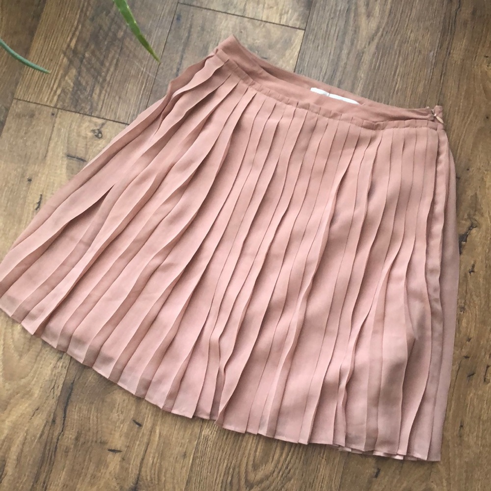 Pleated Skirt